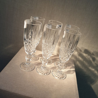 Highball Champagne Glass 19,5cm